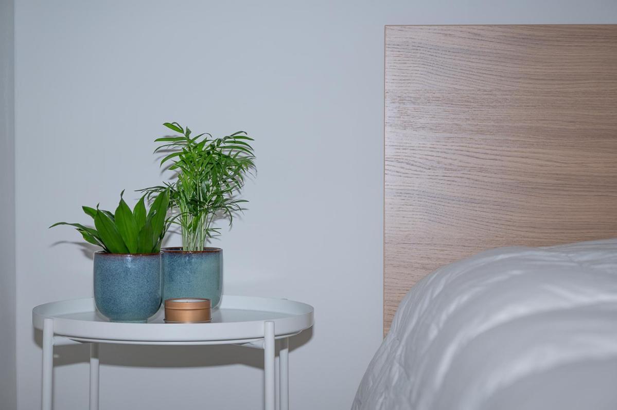 Apartment Trendy As Base To Discover *