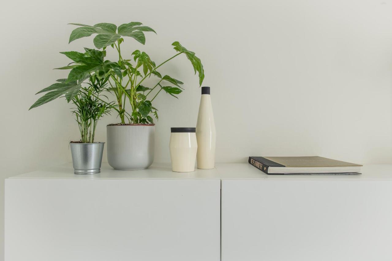 Trendy As Base To Discover Apartamento